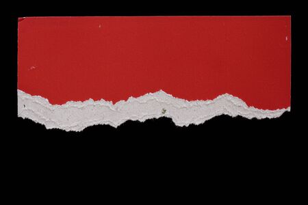 pieces of torn paper texture background, copy space.の写真素材