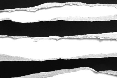 pieces of torn paper texture background, copy space.の写真素材