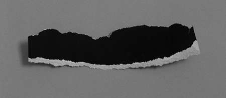pieces of torn paper texture background and have copy space for design in your work.
