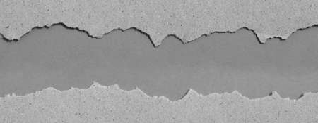 pieces of torn paper texture background and have copy space for design in your work.