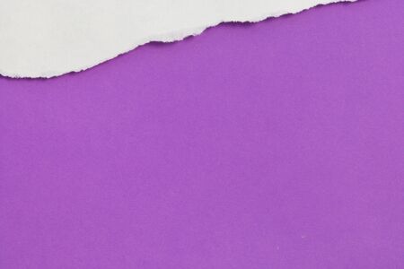 pieces of torn paper texture background, copy space.の写真素材