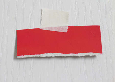 pieces of torn paper texture background and have copy space for design in your work.