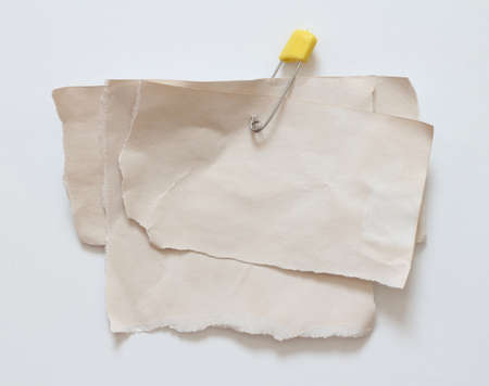 pieces of torn paper