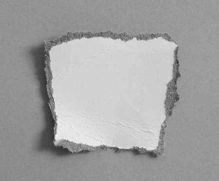 pieces of torn paperの写真素材