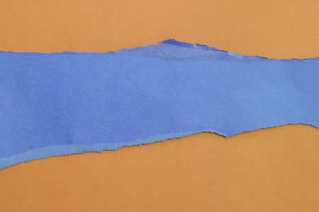 pieces of torn paper