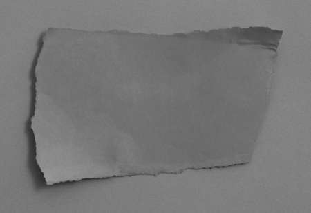 pieces of torn paper