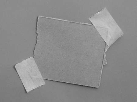 pieces of torn paperの写真素材