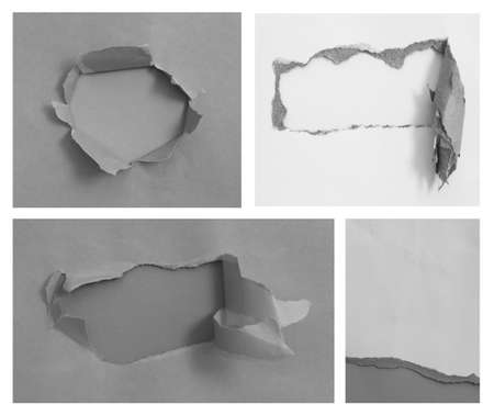 pieces of torn paper texture backgroundの写真素材