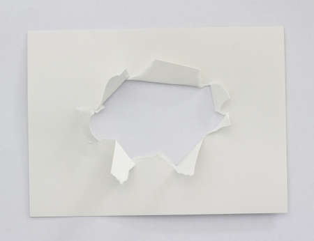 pieces of torn paper texture background with copy space for text