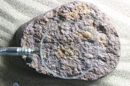 magnifying glass on a stone with holes and pebbles