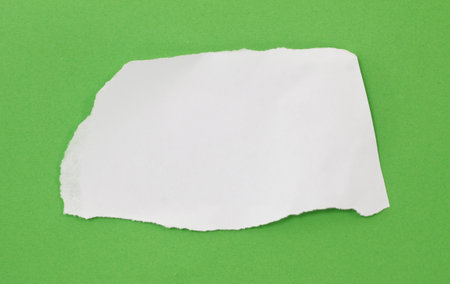 Piece of torn paper on green background. Copy space for text.の写真素材