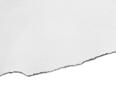 Piece of torn paper on plain background. Copy space for text.