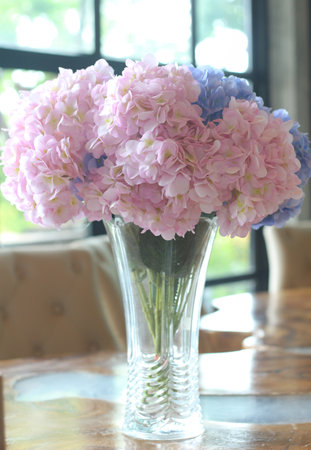 Pink and blue hydrangea flowers in vase on table
