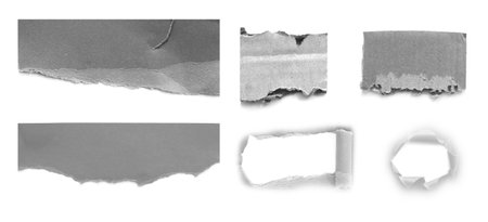 collection of  various ripped pieces of paper on white background. each one is shot separately