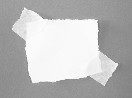 pieces of torn paper texture background, copy space for your text.の写真素材