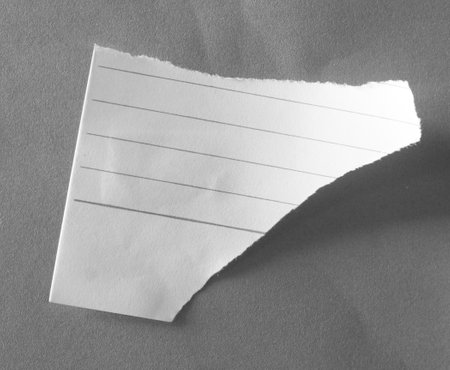 pieces of torn paper texture background, copy space for add text.の写真素材
