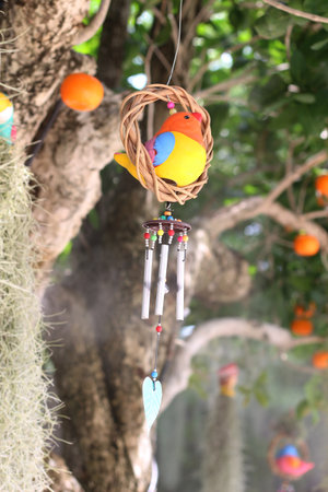 Colorful bird dreamcatcher hanging on the tree in the gardenの写真素材