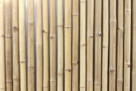 bamboo wall background, close up of bamboo wall texture background.の写真素材