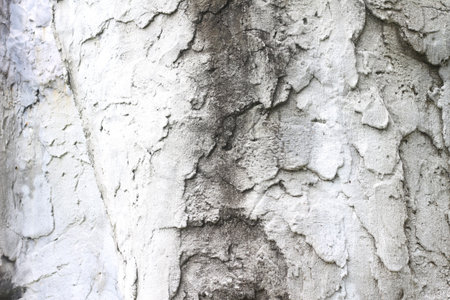strawberry smoothie in plastic cup on wood table background.の写真素材