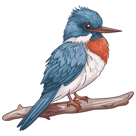 Explore our kingfisher vector art collection. Infuse your designs with the vibrant hues and dynamic energy of these high-quality vectors.のイラスト素材
