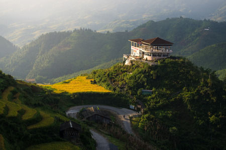 Rice fields on terraced in sunset at Sapa, Lao Cai, Vietnam. Rice fields prepare the harvest at Northwest Vietnamのeditorial素材