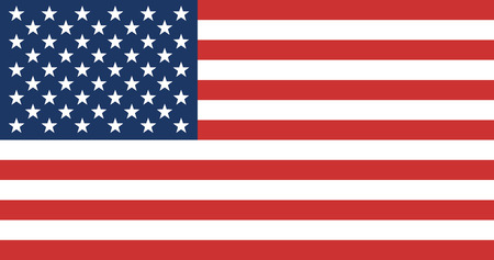 American Flag. United State of America Flag. Vector Illustration.