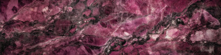 Fuchsia Marble Stone Texture Panoramic Bannerの素材