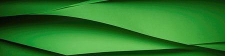 Green Paper Background Panoramic Bannerの素材