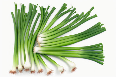Fresh spring onions isolated on white background. top view. flat lay.の素材