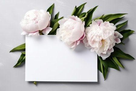 Blank White Card On White Background With Peonies Postcardの素材