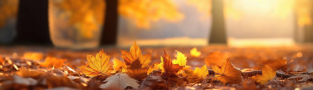 Autumn Leaves In A Park With A Softfocus Golden Hour Banner Backgroundの素材