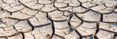 A Perspective View Of Ground Cracks And Fractures On The Land Surface Illustrating The Effects Of Earthquakes And Fissures Resulting From Disasters Or Drought.の素材