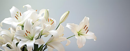 Closeup of pristine white lilies on a light backdrop symbolizing purity. Concept White Lilies, Closeup Photography, Symbolism, Purity, Light Backgroundの素材