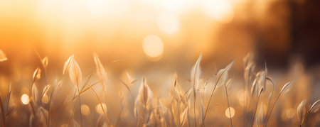 The Delicate Dance of Nature: A Close-Up of Wild Grass at Twilight in the Forest. Concept Nature Photography, Close-Up Shots, Wild Grass, Twilight, Forest Settingsの素材
