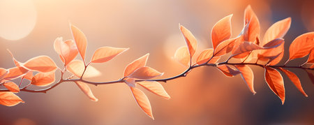 Capturing the Serenity of Vibrant Fall Foliage in Warm Sunlight. Concept Nature, Fall Foliage, Serenity, Vibrant Colors, Warm Sunlightの素材