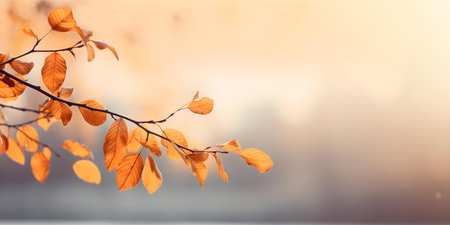 Autumnal scenery highlighting the impact of memory loss and neurological conditions. Concept Autumnal Scenery, Memory Loss Impact, Neurological Conditionsの素材