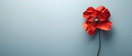 Solitary Poppy: A Symbol of Remembrance and Peace. Concept Peaceful Bloom, Symbol of Remembrance, Historic Significanceの素材