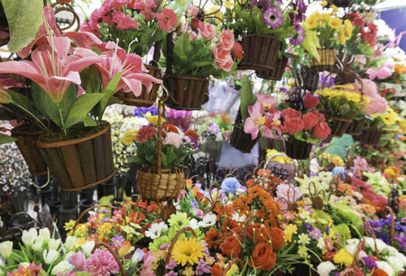 Artificial flowers is so real todays の写真素材