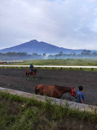 Horse riding in the morning with fog and mountains in the background