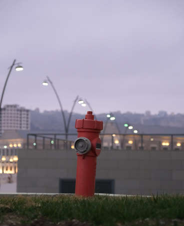 Fire hydrant stands in the middle of the grassの写真素材