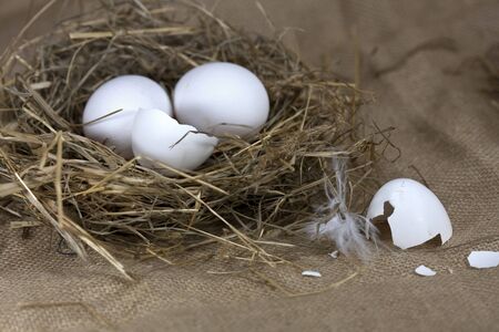 Eggs in Straw Nest, with brown textured backgroundの写真素材