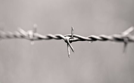 Barbwire (or Barbed Wire) on fields and meadowsの写真素材