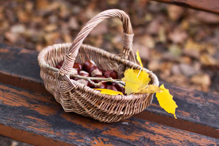 Chestnuts in wicker basket, autumn concept image, with husk parts and leavesの写真素材