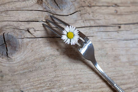 Steel Forks with daisy flower on wooden table  surface