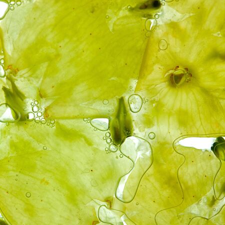 White wine grapes crushed with juice and bubbles on whiteの写真素材