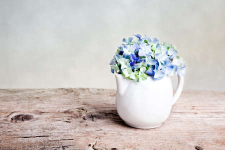 Still-Life with blue Hortensia Flowers in porcelaine canの写真素材