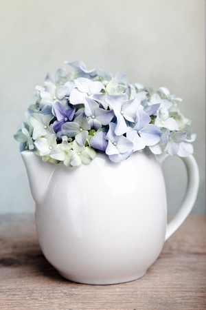 Still-Life with blue Hortensia Flowers in porcelaine canの写真素材