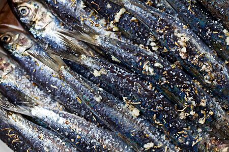 Sardines being prepared with sea salt and herbsの写真素材