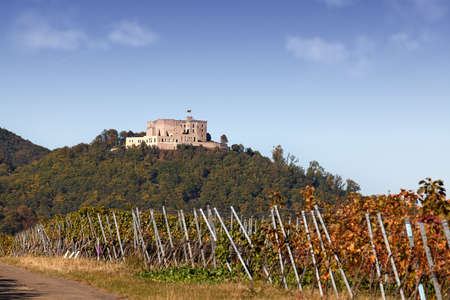 The Hambach Palace and Vineyards in late autumnのeditorial素材