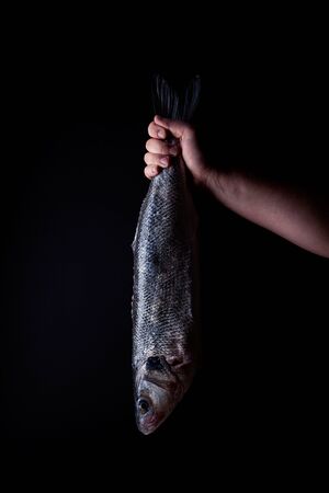 A hand holds up a freshly caught and prepared whole sea bass by the tail against a dark background
の写真素材